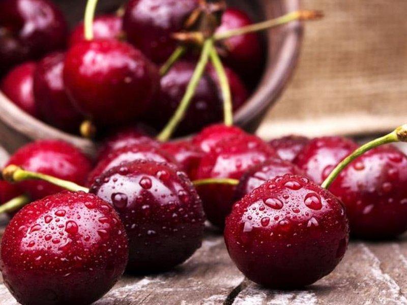 Вишня купить саженцы из питомника в Киселёвске